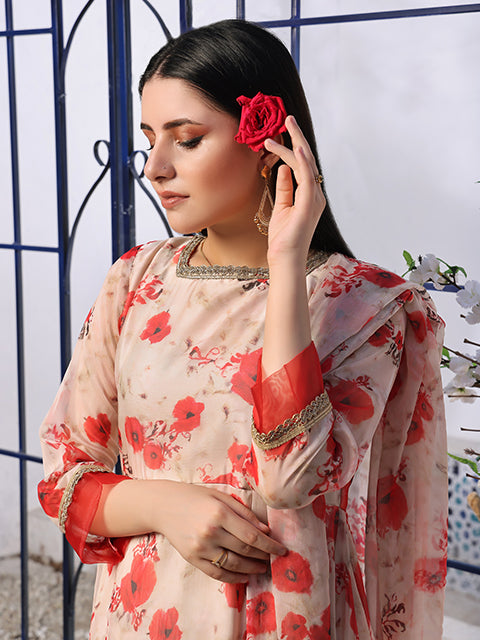 Ruby red amaryllis (FRT-70)