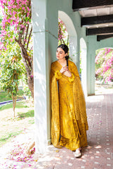 Nargis Dupatta