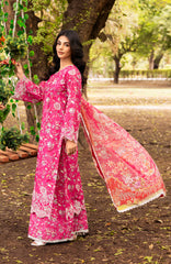 Begonia | 3Pc Lawn Embroidered Suit