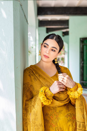 Nargis Dupatta