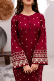 Winters 2PC Embroidered Dress-1044