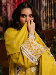 CLARA | 3 PC KARANDI