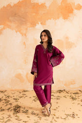 2PC Winter Embroidered Dress - 1085