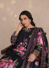 Khaddar 203