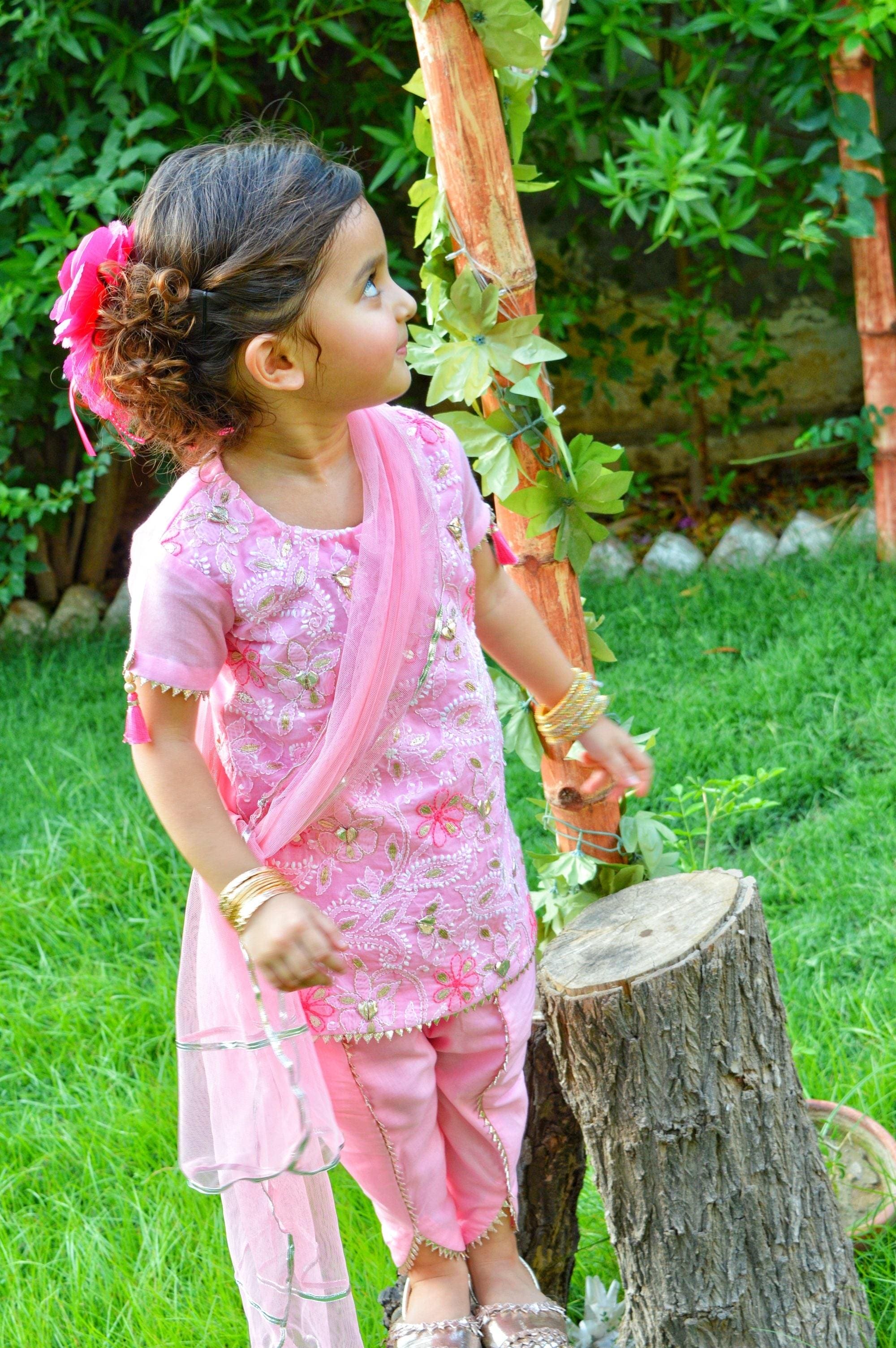 Bubble Gum Chikankari Qameez Shalwar Set