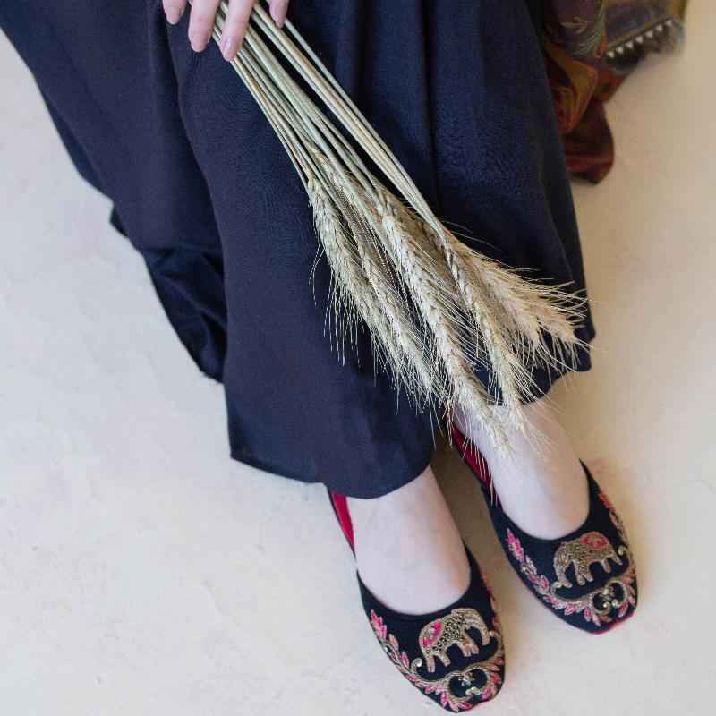 Shahi Sawari - Jooti Shooti