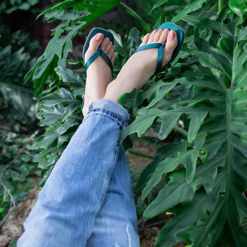 Nina Forest - Jooti Shooti