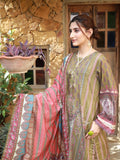 Nakhrey Set Stitched 2 Piece (Dhani)