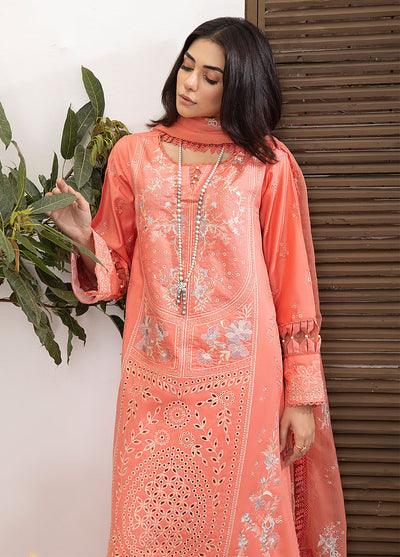 D-06 Enigma - Viscose Embroidered 3P