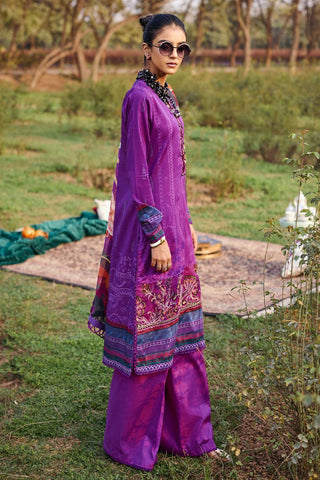 Elif - 3P - Lawn