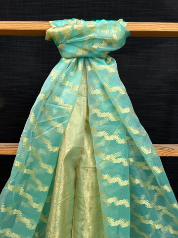 Organza Jacquard Fancy Shawl