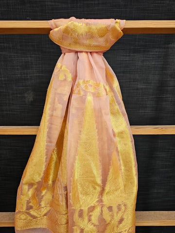 Organza Jacquard Fancy Shawl