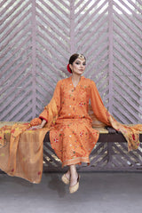 Nigah-e-shokh