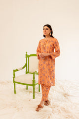 Printed 2PC Dress- PR8