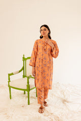 Printed 2PC Dress- PR8