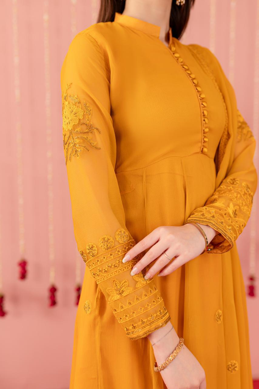 Chiffon Embroidered Dress - Y4