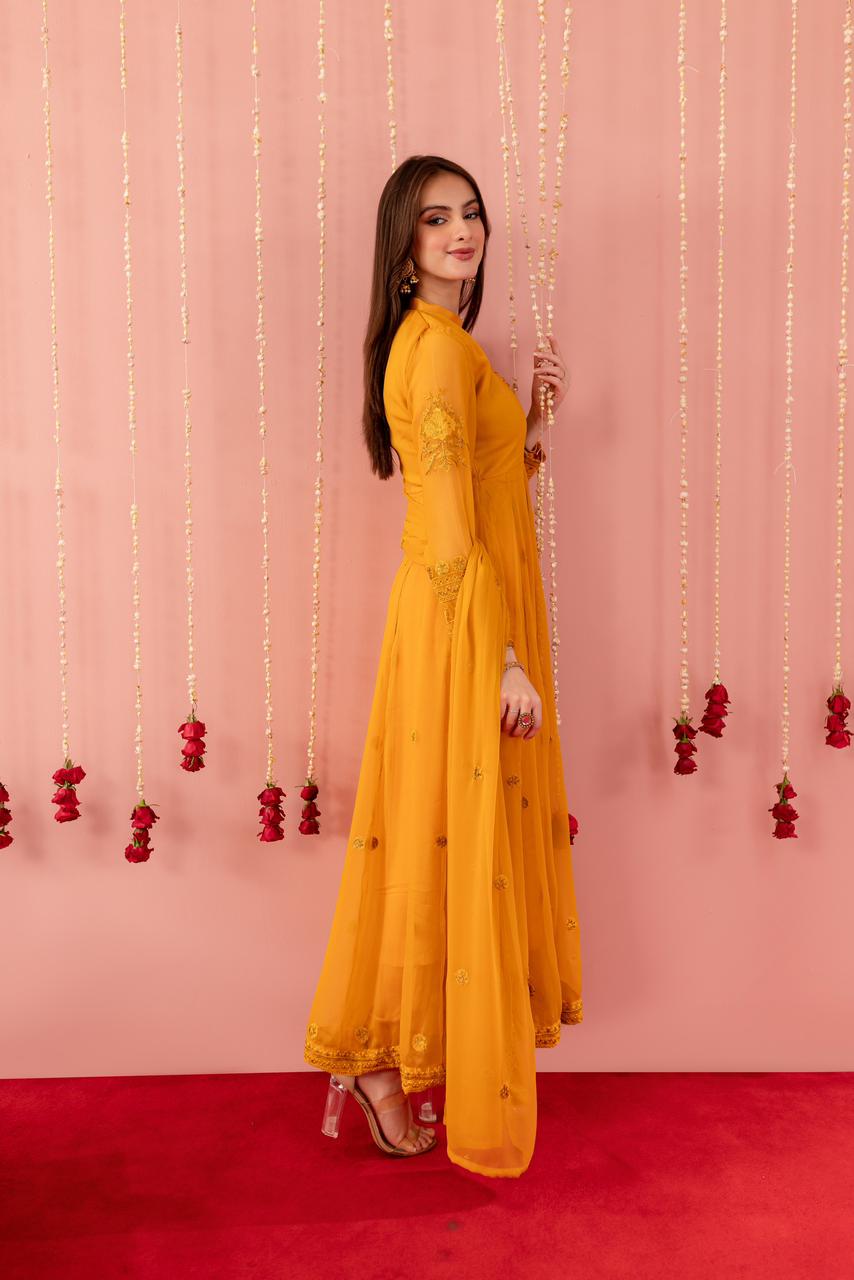 Chiffon Embroidered Dress - Y4