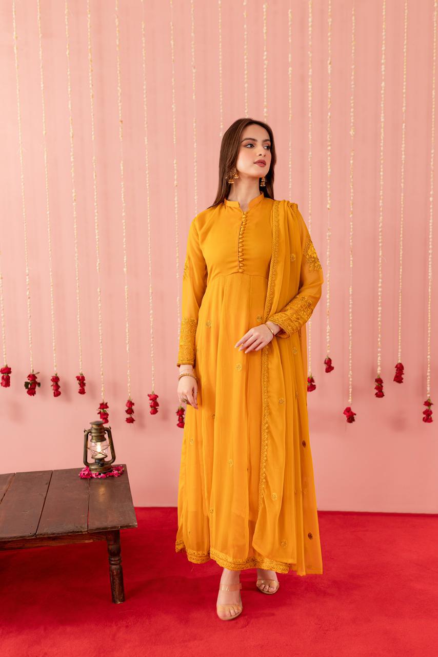 Chiffon Embroidered Dress - Y4