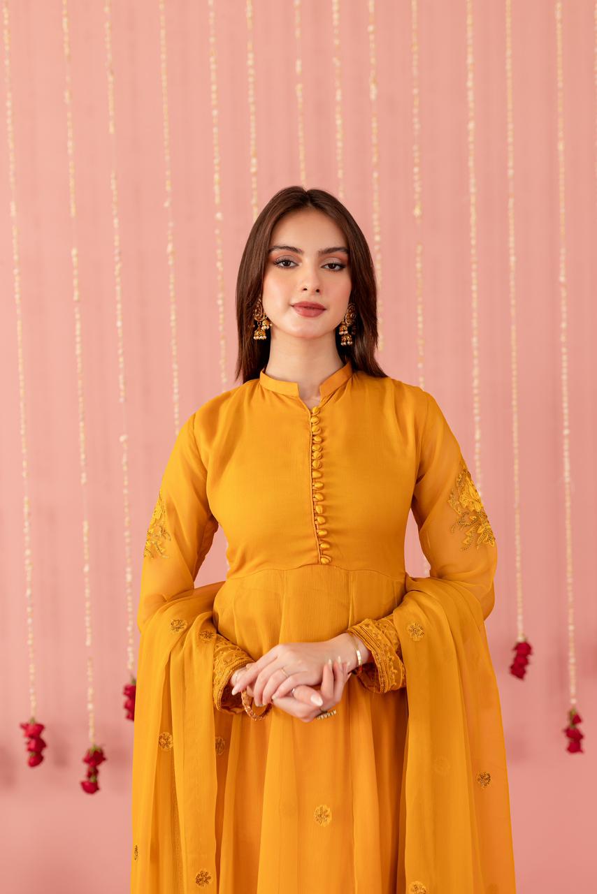 Chiffon Embroidered Dress - Y4