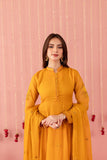 Chiffon Embroidered Dress - Y4