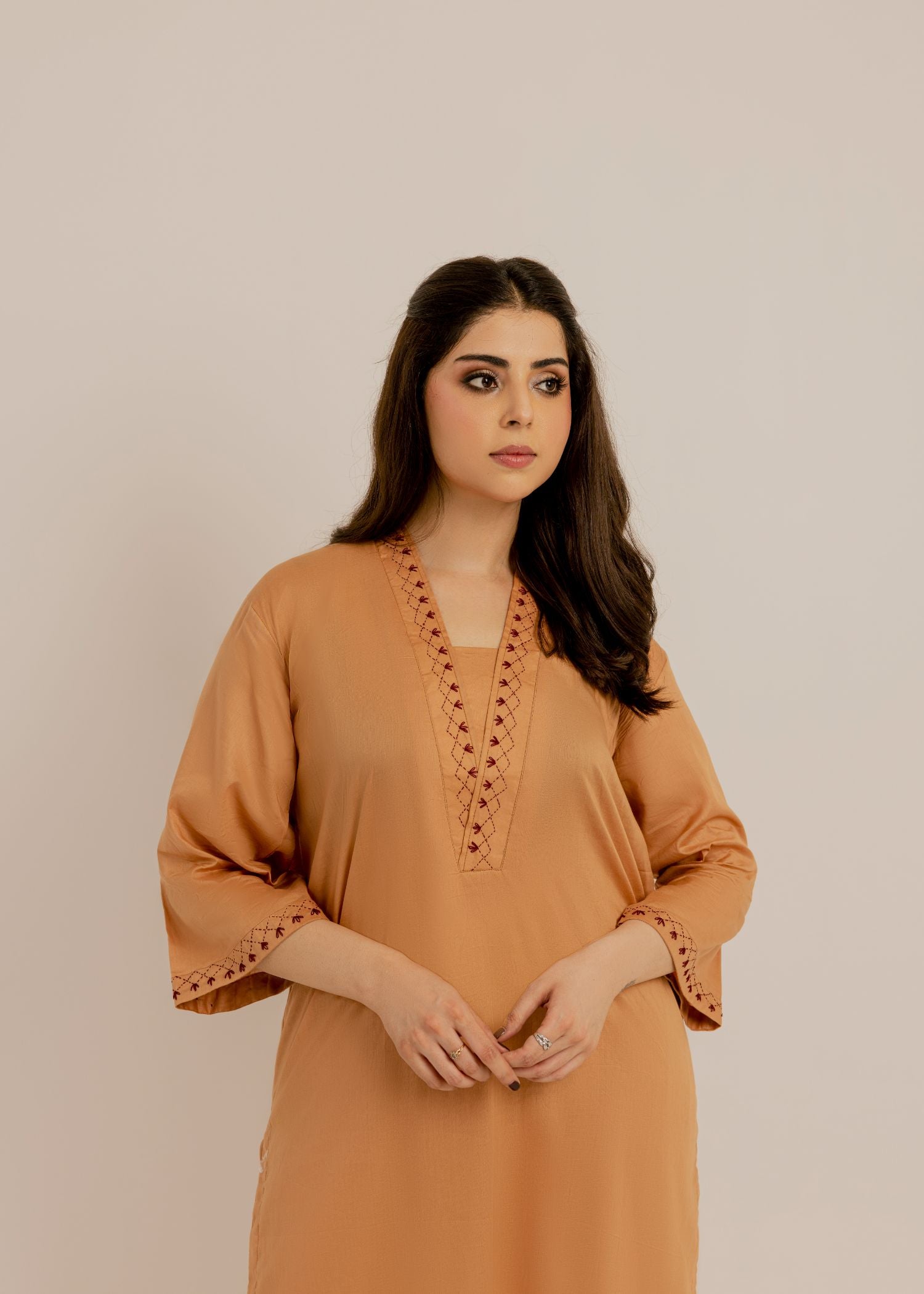 Beige Embroidered dress