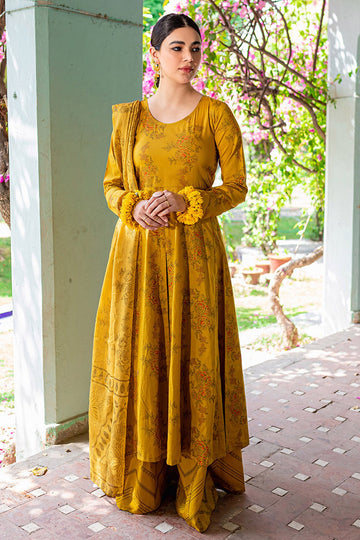 Nargis Dupatta