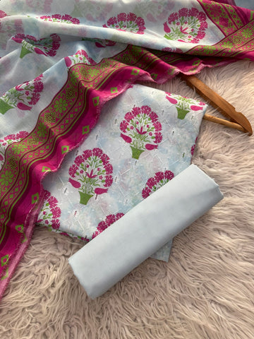 ET24 - Ethnic Chikankari Lawn 3P