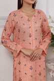 RTW D-11 (Peach)