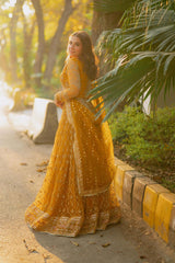 Zareen