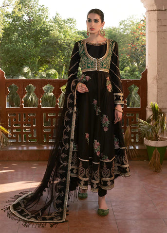 BLACK BEAUTY